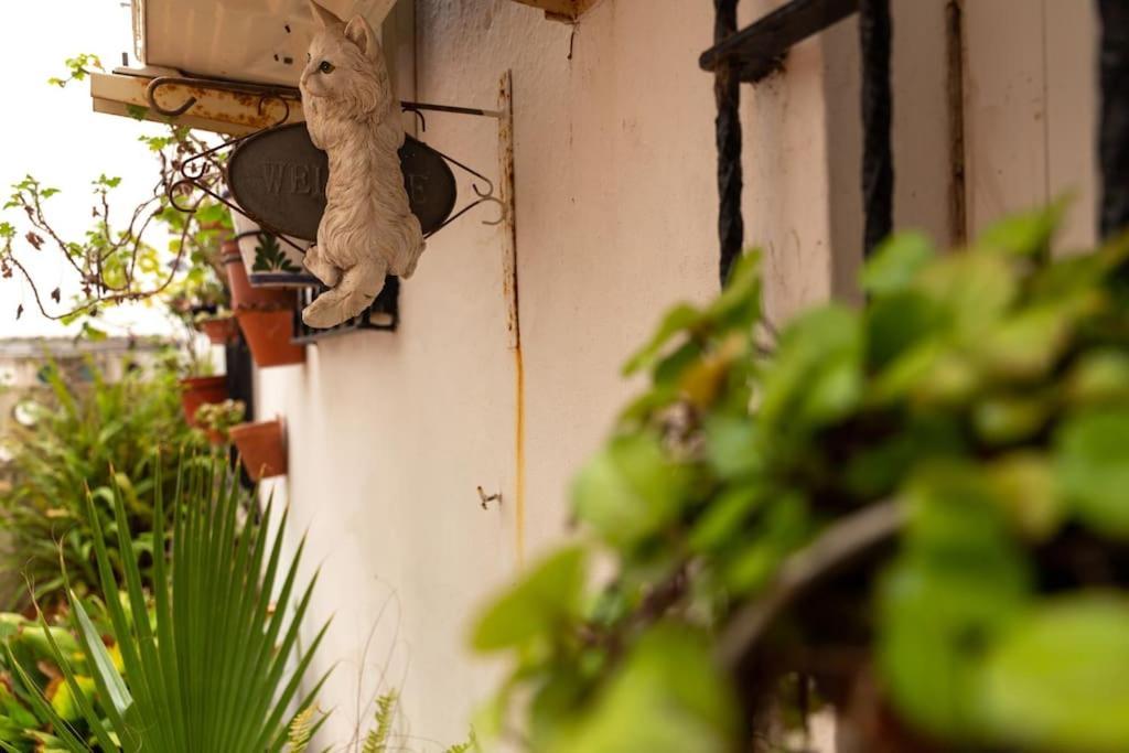 El Patio De La Vina By Gades Gestion Appartement
